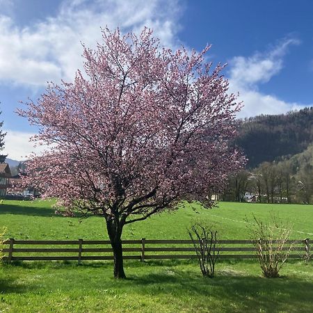 Open Garden Mountain Lodge Όμπερντορφ Εξωτερικό φωτογραφία