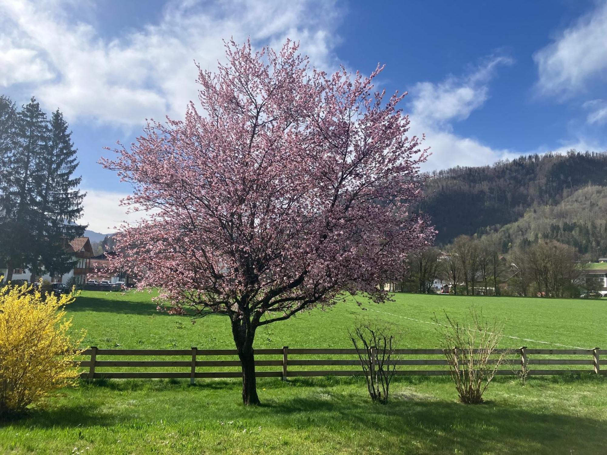 Open Garden Mountain Lodge Όμπερντορφ Εξωτερικό φωτογραφία